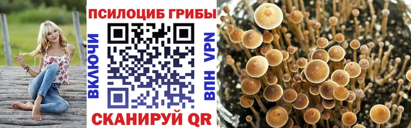 kraken сайт  Батайск  Галлюциногенные грибы ЛСД 